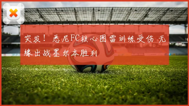 突发!悉尼FC核心图雷训练受伤 无缘出战墨尔本胜利